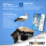 Schermata 2016-05-06 alle 22.12.33