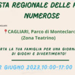 iv festa regionale dardegna intesta