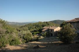 Poggio