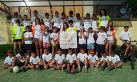 cuneo2013