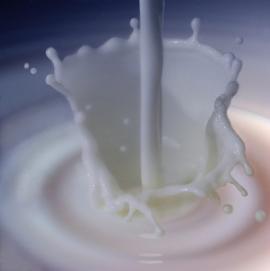 latte